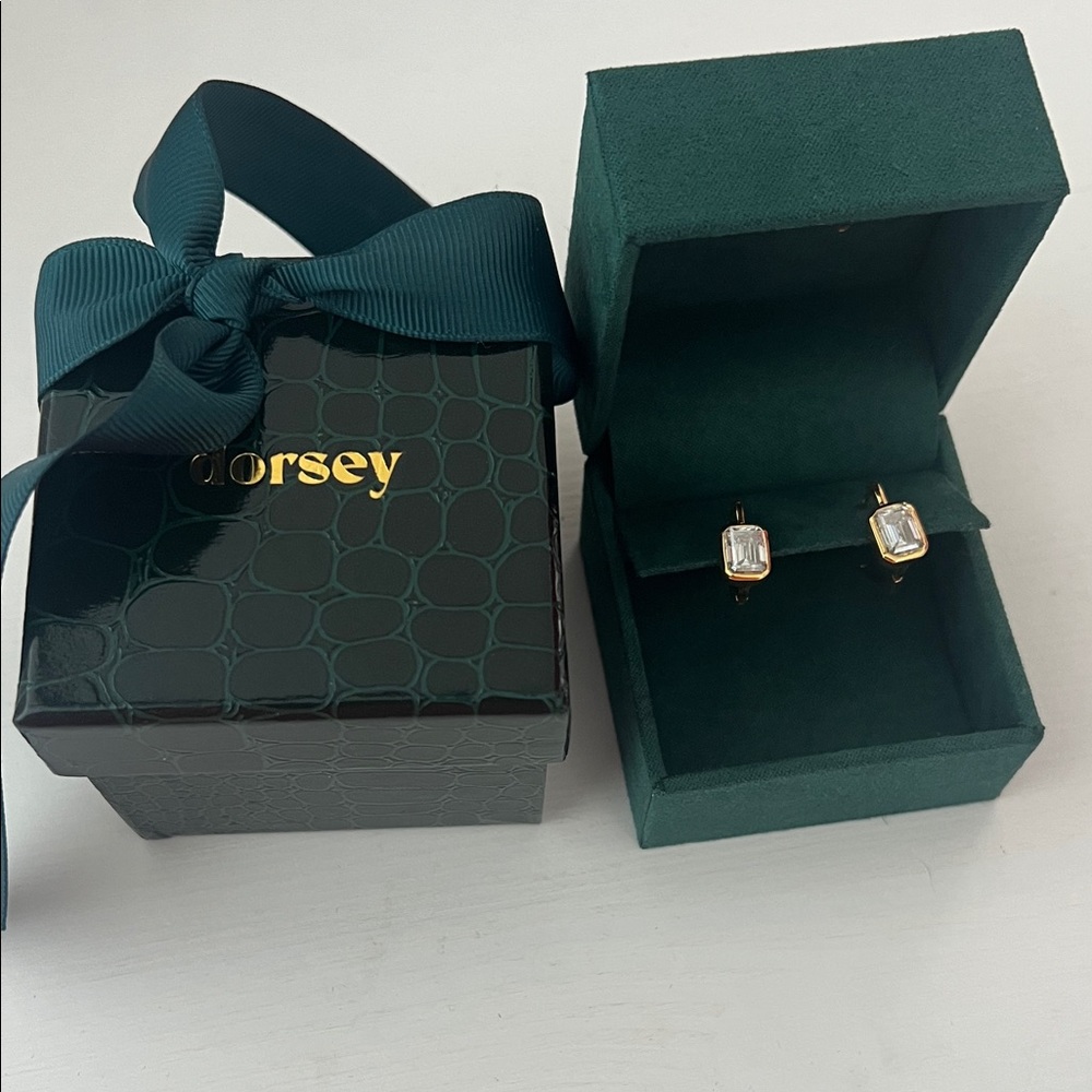 Dorsey Odette earrings in Moissanite